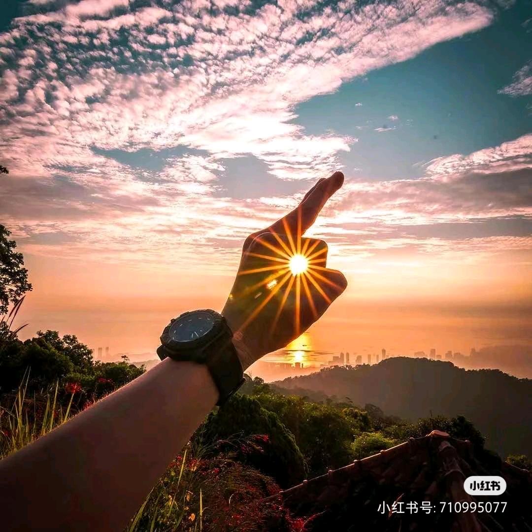 F F 🎶 艺术收藏空间