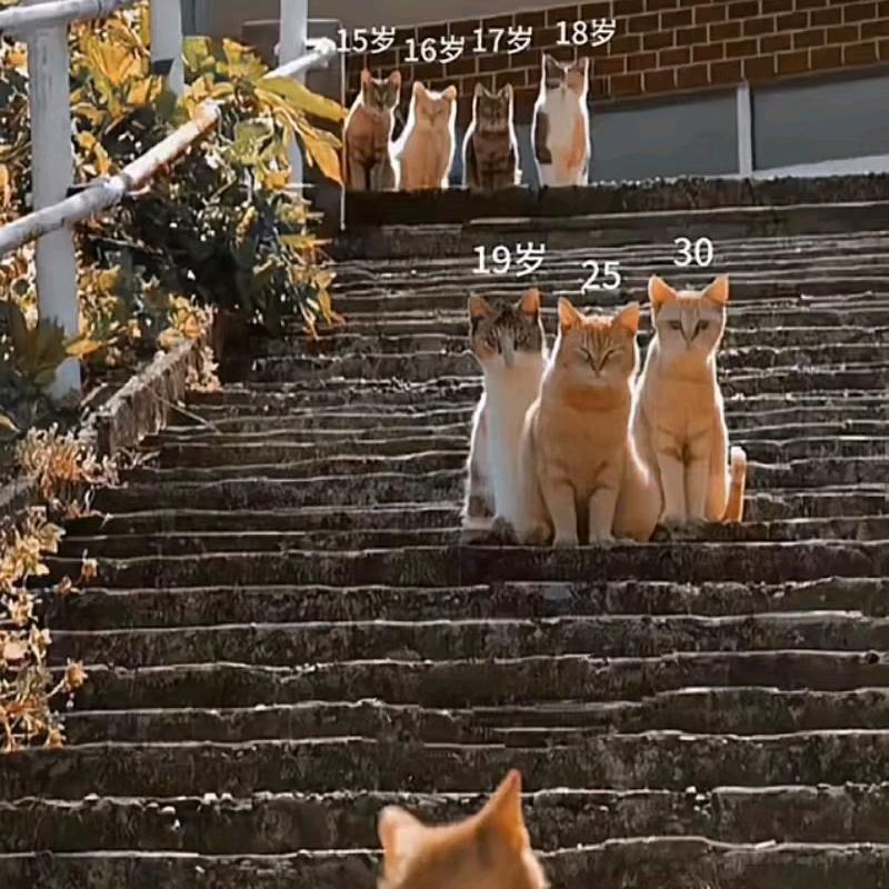 风烟之末