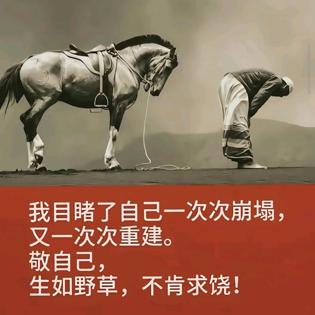 西伯利亚狼🦍