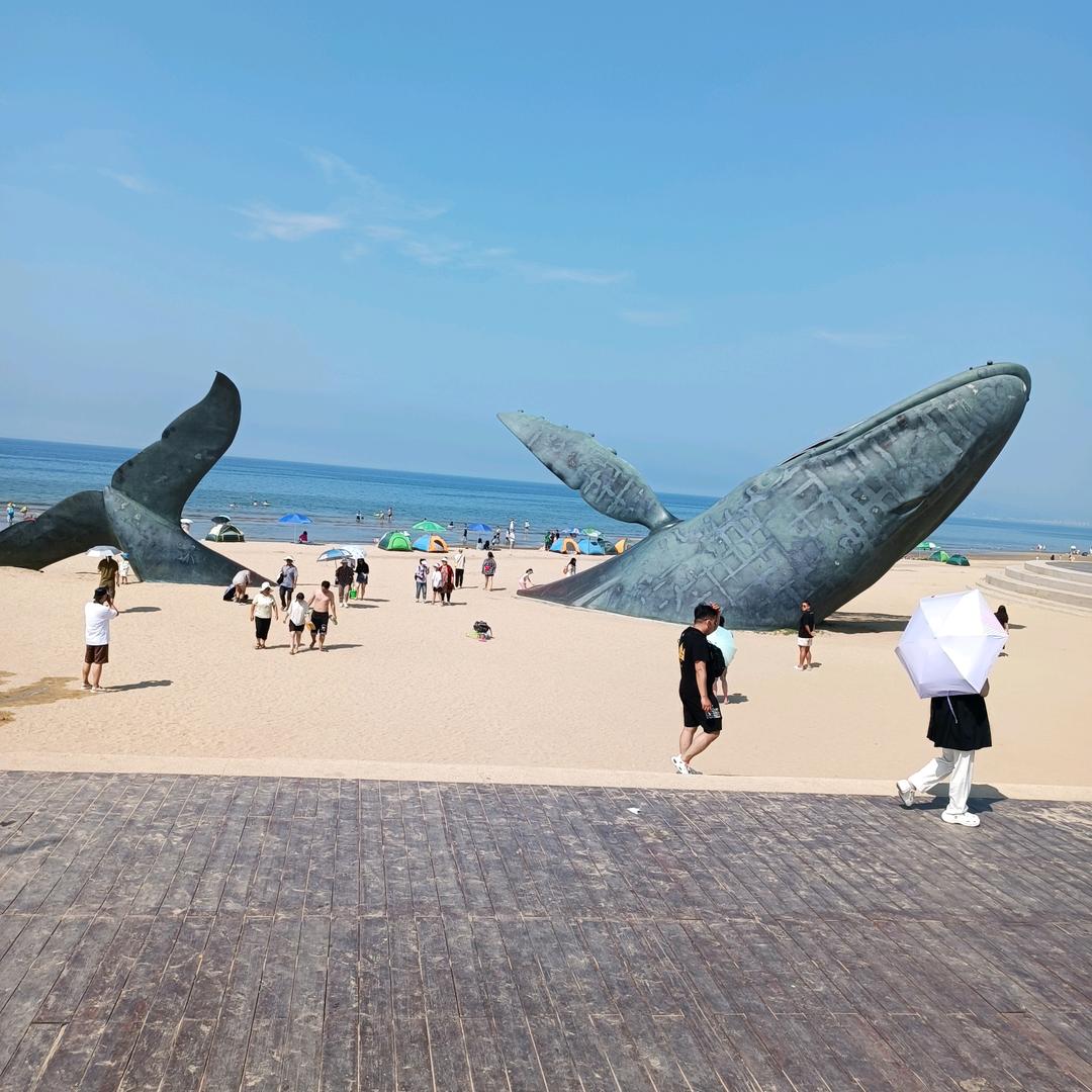 强仕台球器材(郸城店)