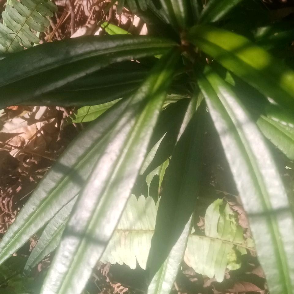 看破红尘