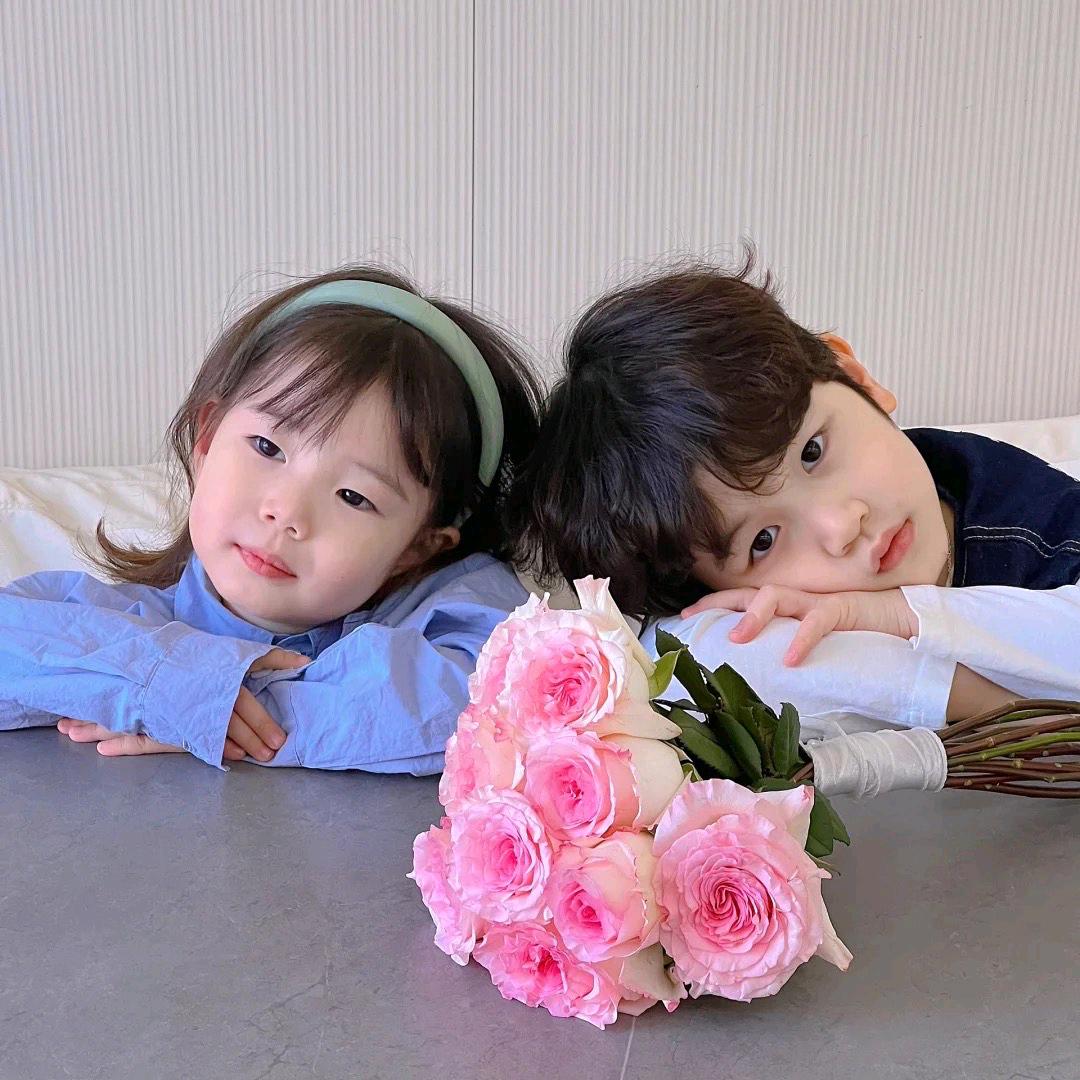 🌸寒风v&↓↓