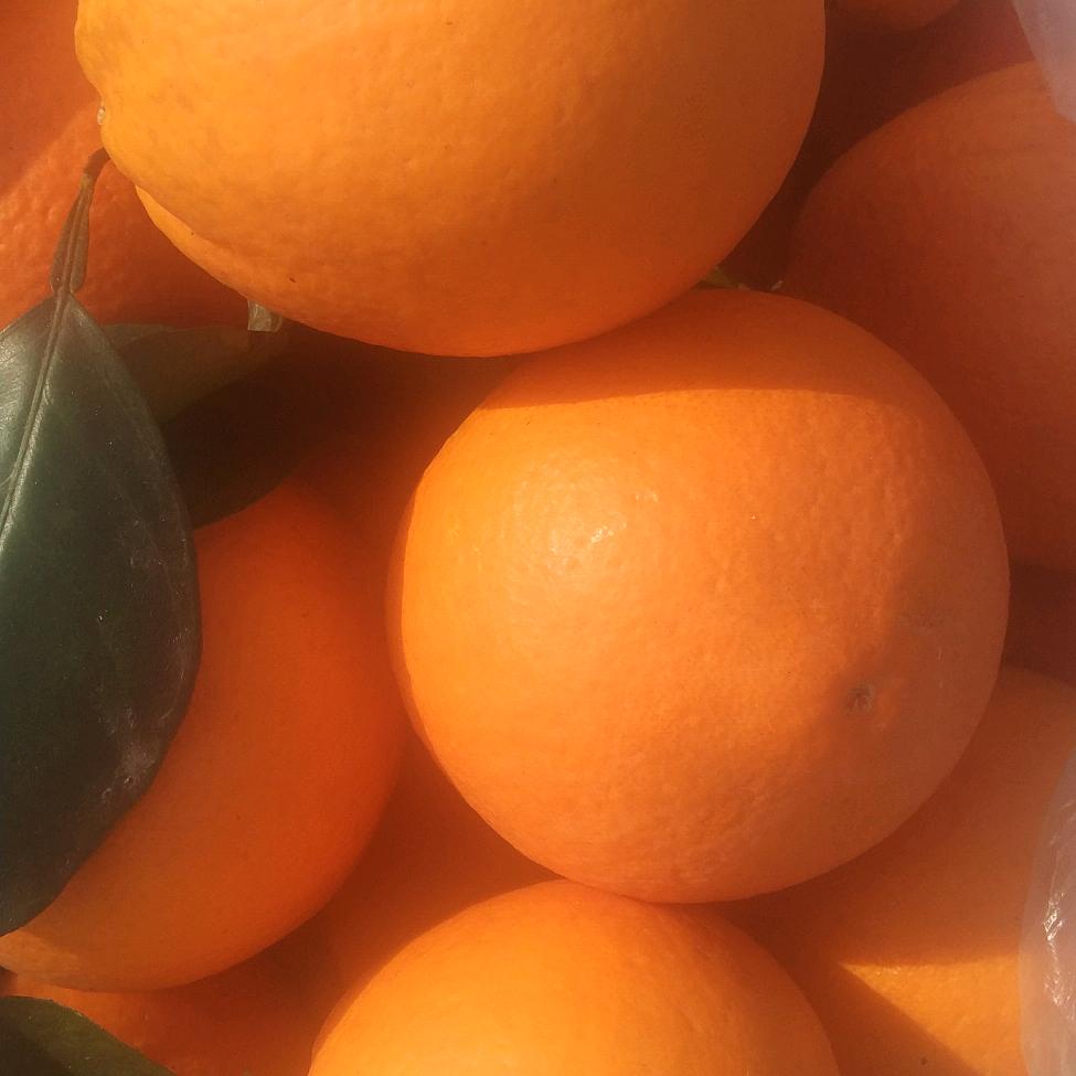 C02，张老肆19115233725