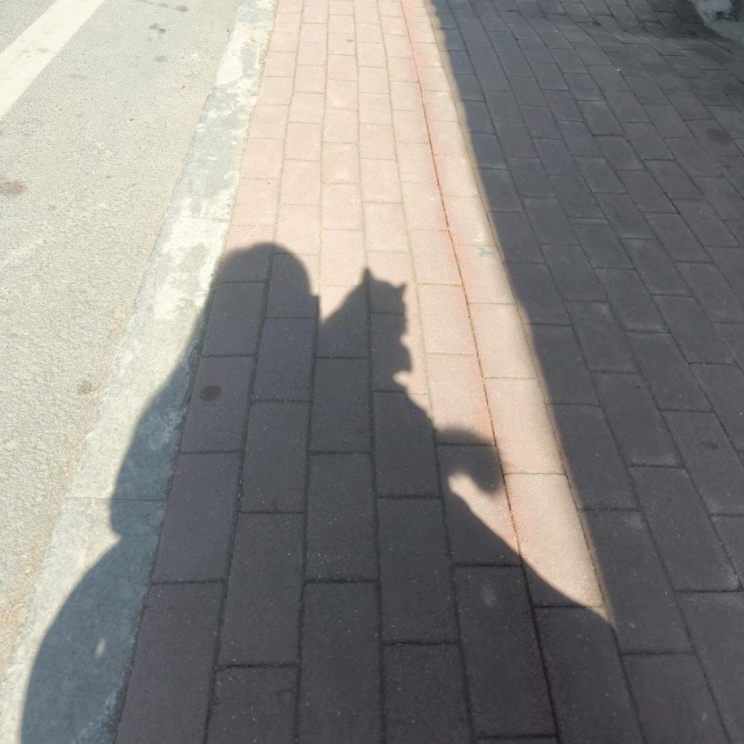 ✨ʕ·͡˔·Ɂ是盤盤呀ღ᭄ꦿ