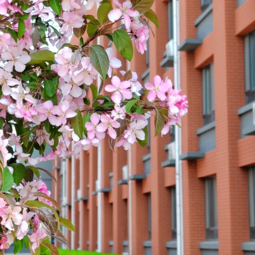 鲁才董老师呀🌻