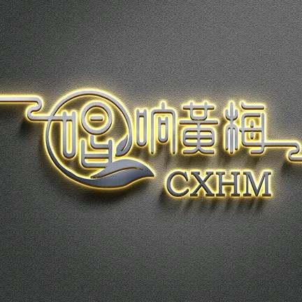 唱响黄梅  铁哥