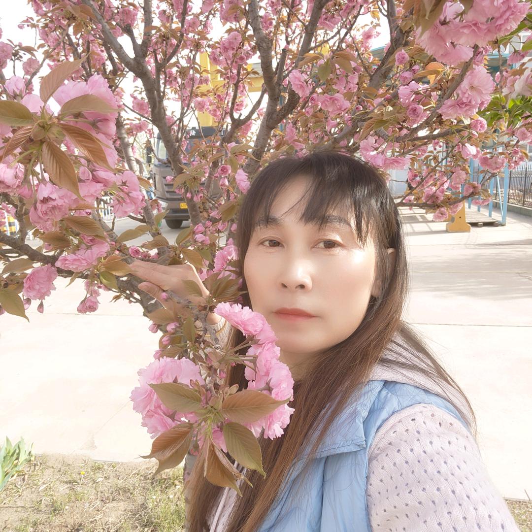 坚强的心(不定时开播)