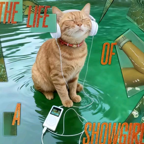 好运的龙虾（戒d版）