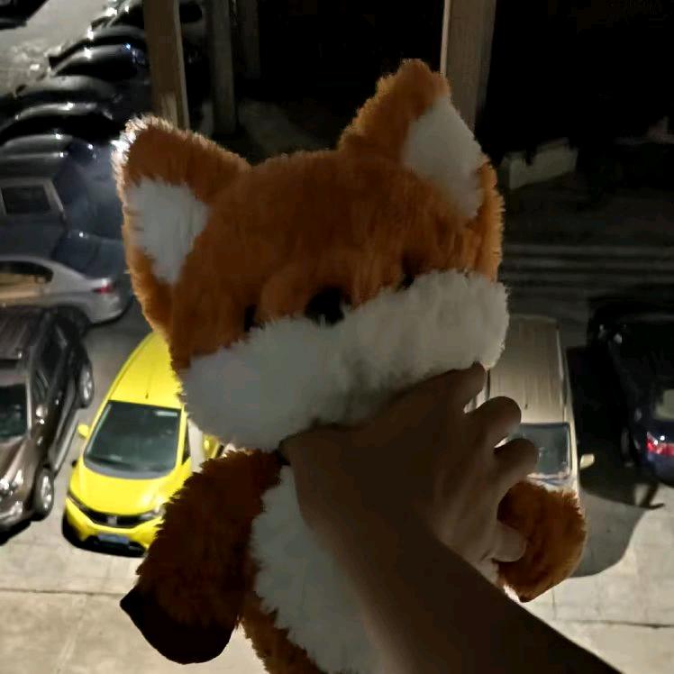 平常同学📷✈️