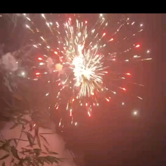 甜甜爱吃饺子🥟🥟🥟