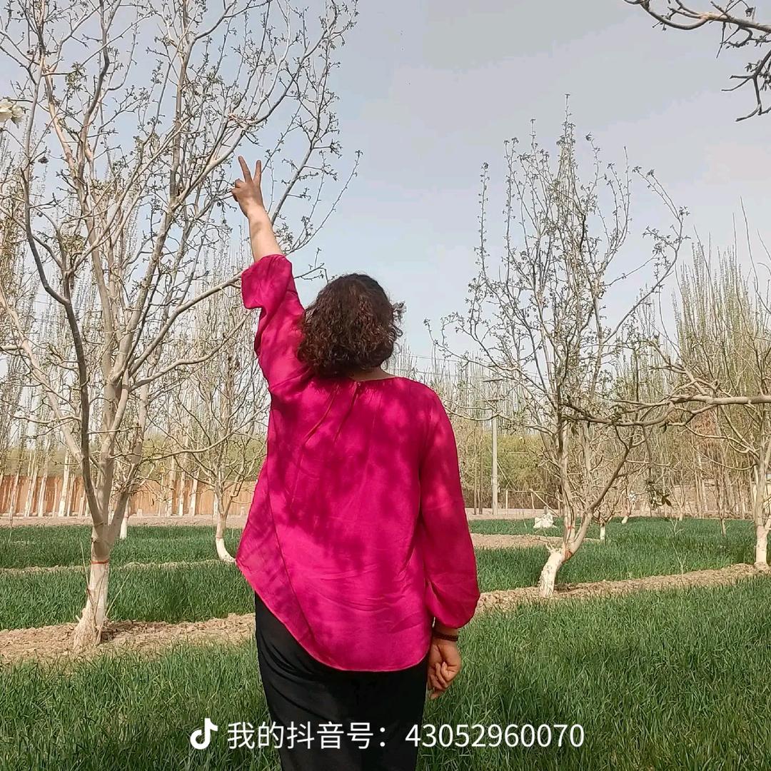 萤火之歌