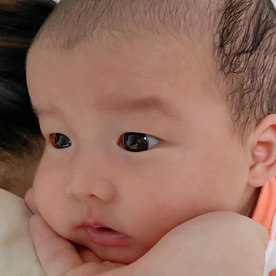 养了一只小朱