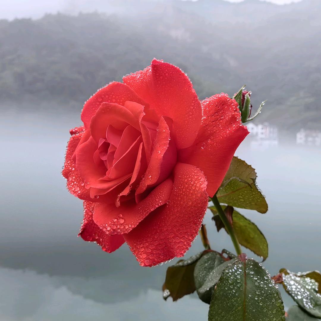 吾是一束光