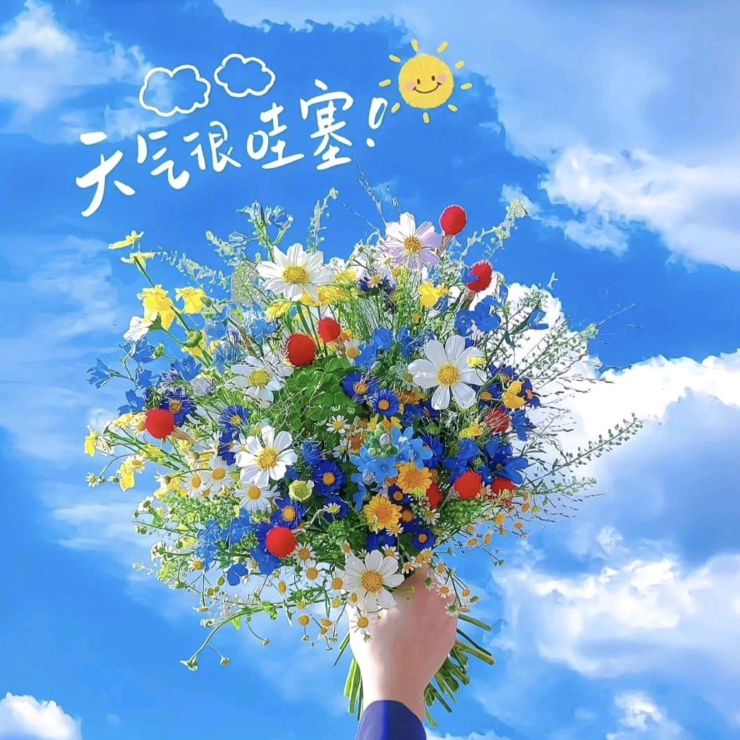 好物精选分享
