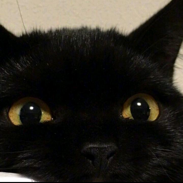 黒友