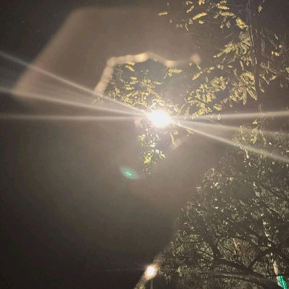 那年英子
