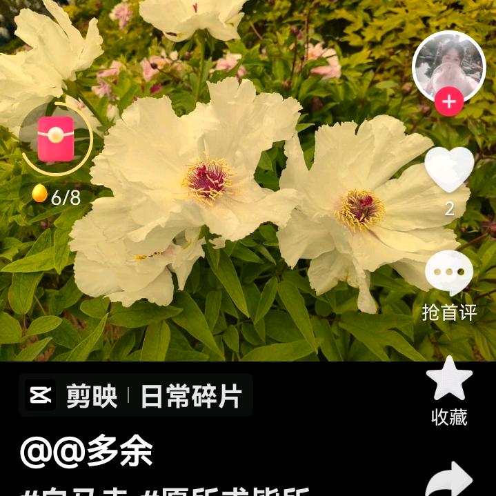 浪十八圈