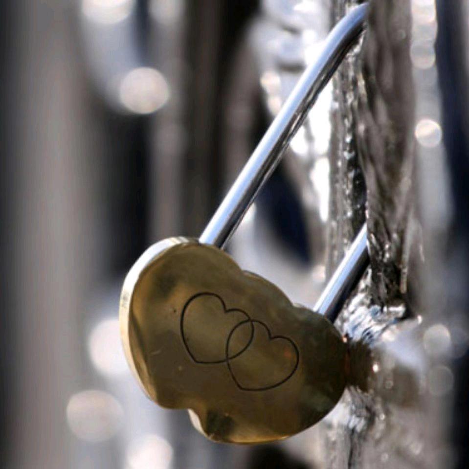 ꧁༺汪后余生༻꧂