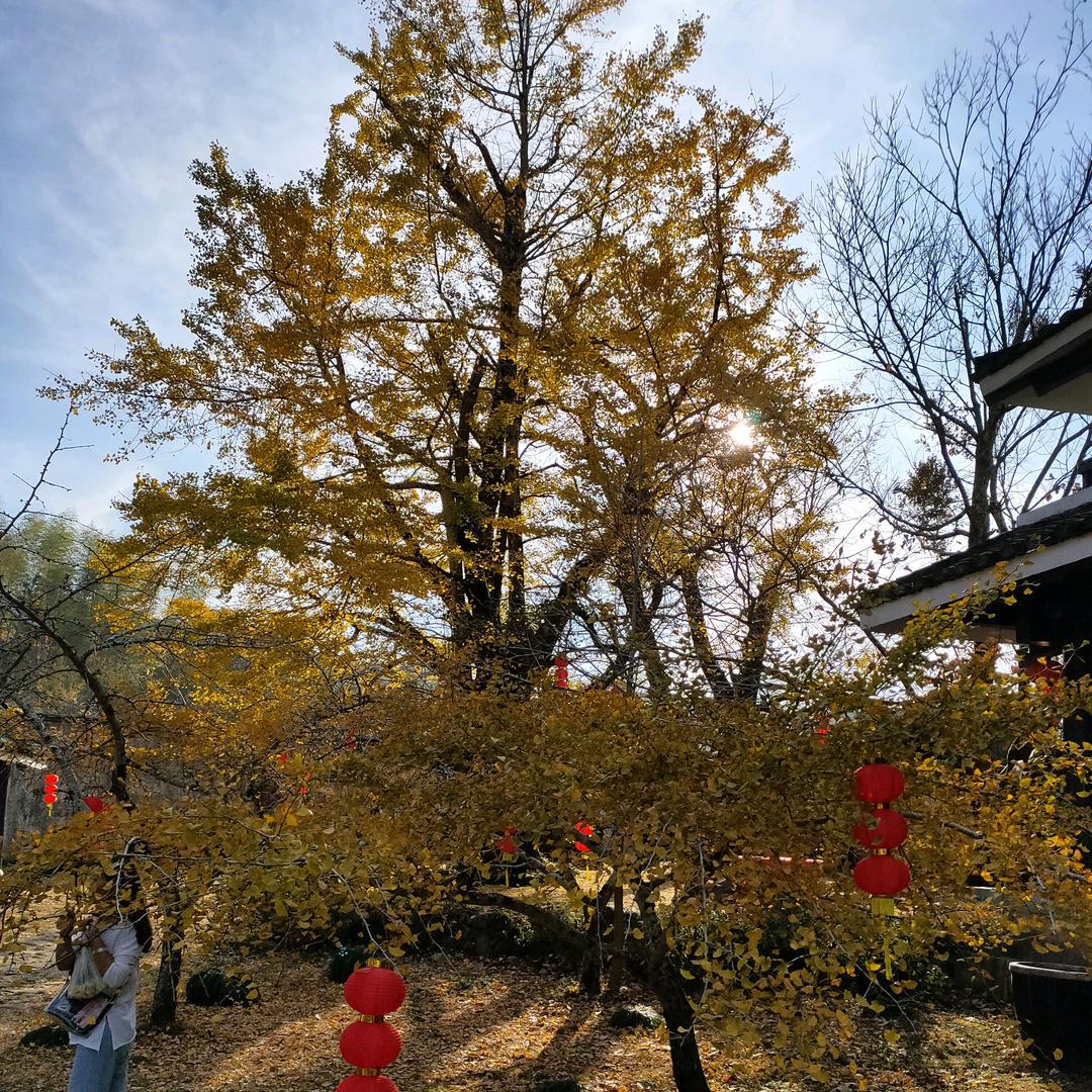 烈酒暖心