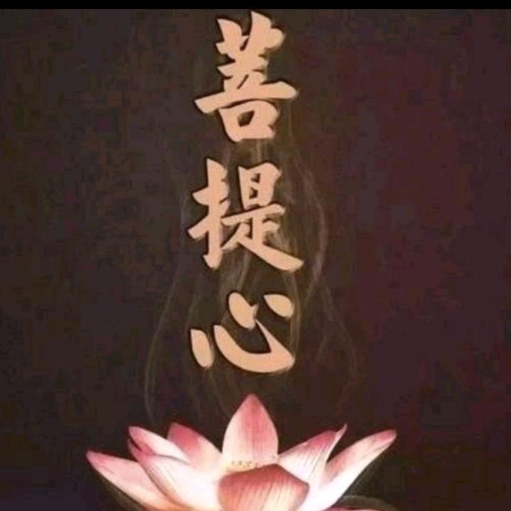 一切随缘🙏