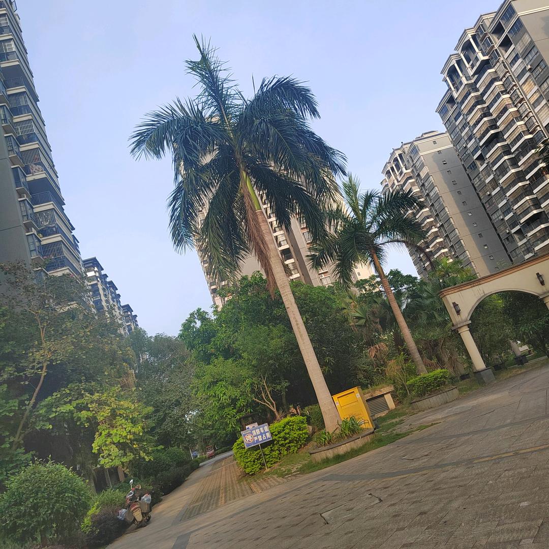 扶绥 租房 卖房 韦姐