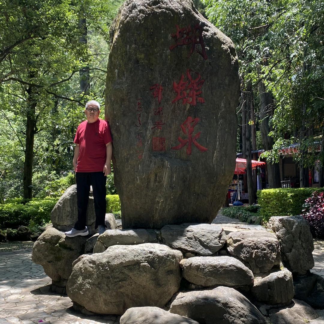 王金龙
