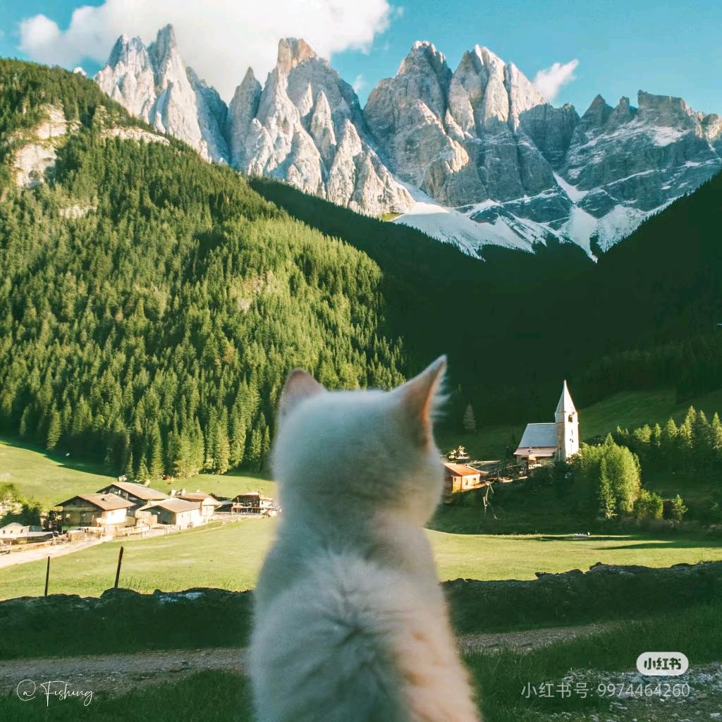 苹果酱_