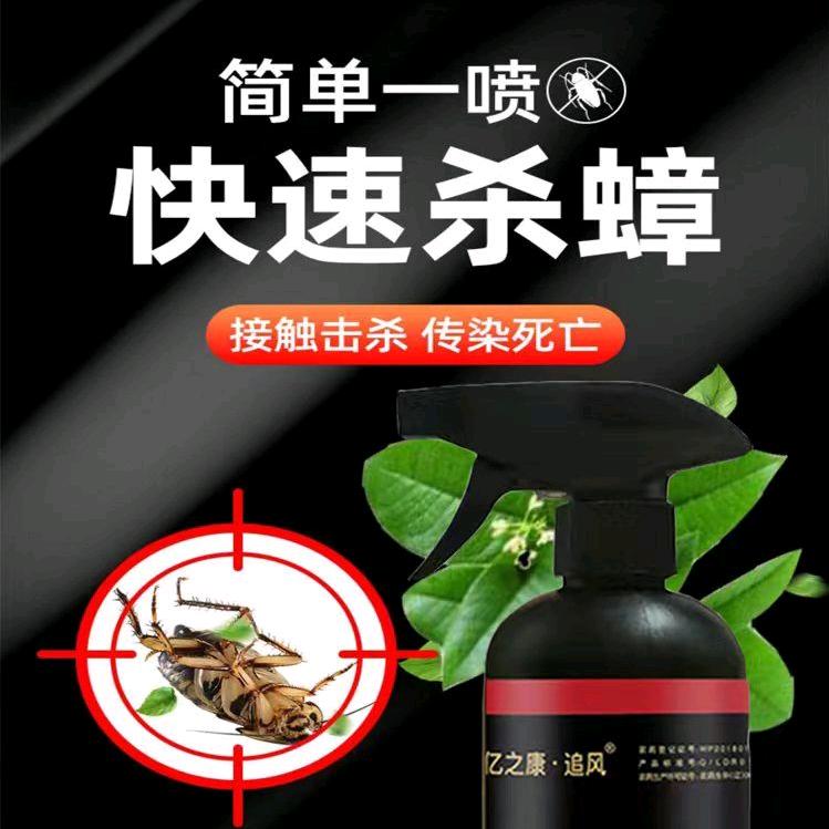 虫无踪百货店