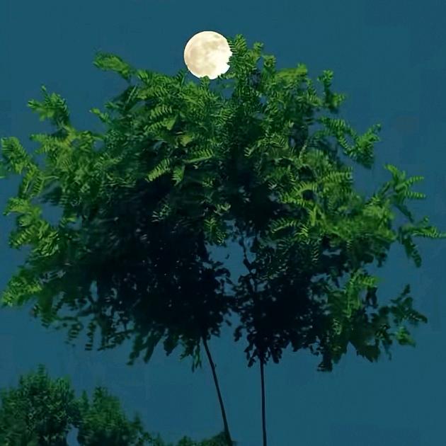 ⊂求財✪ﻌ愛己ლ