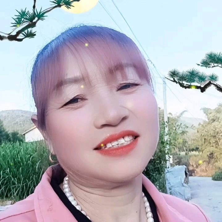玫瑰花开