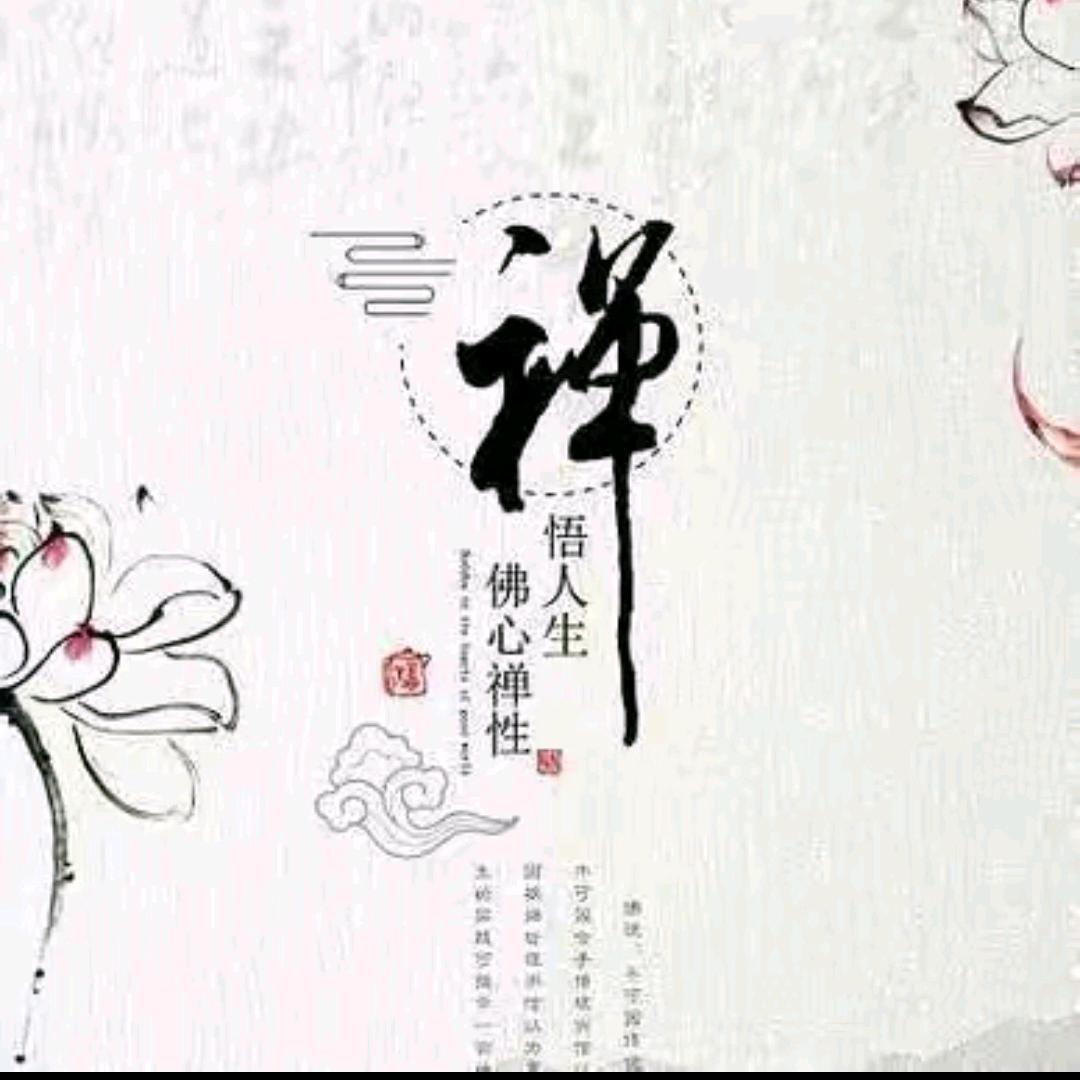 普陀山云海先生