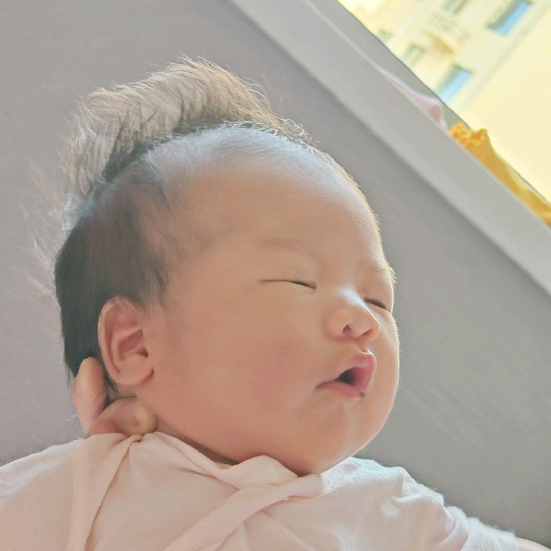 陆小鹿🦌