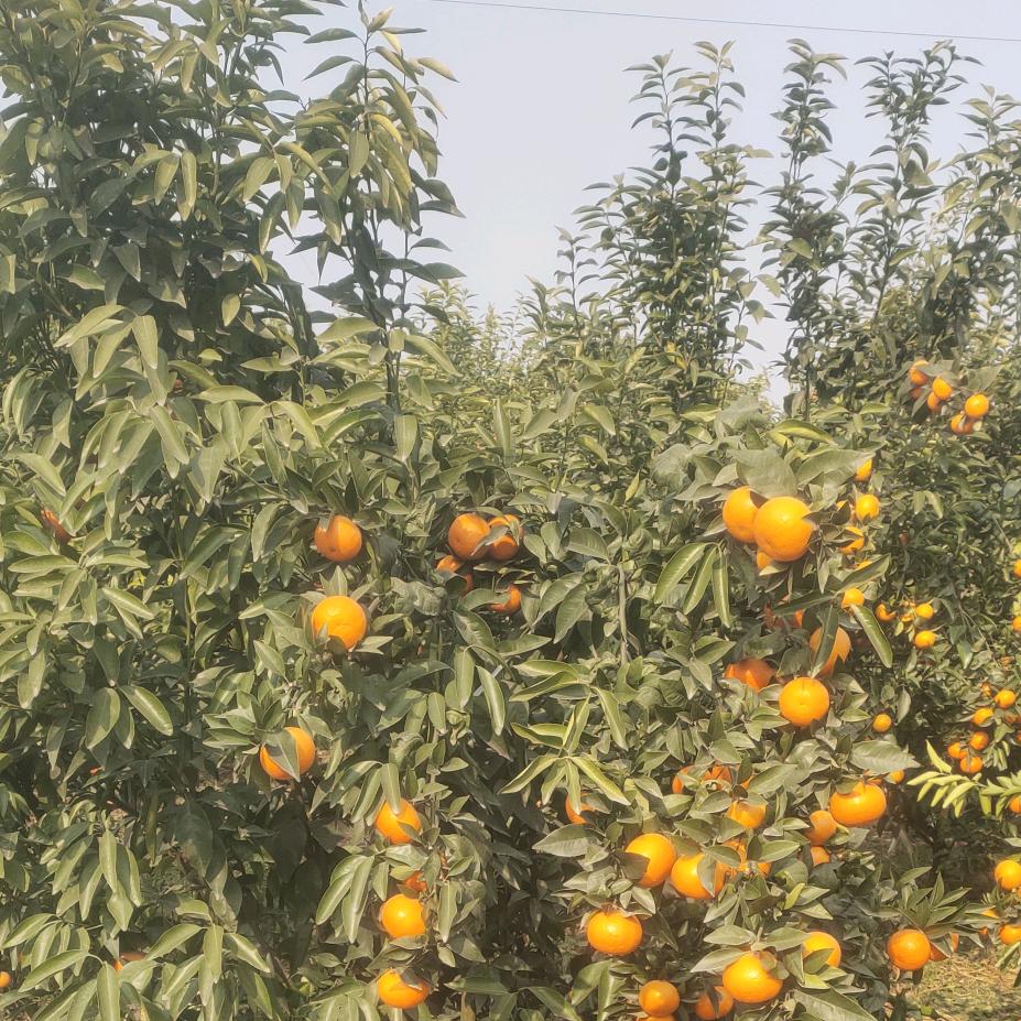 助力前行