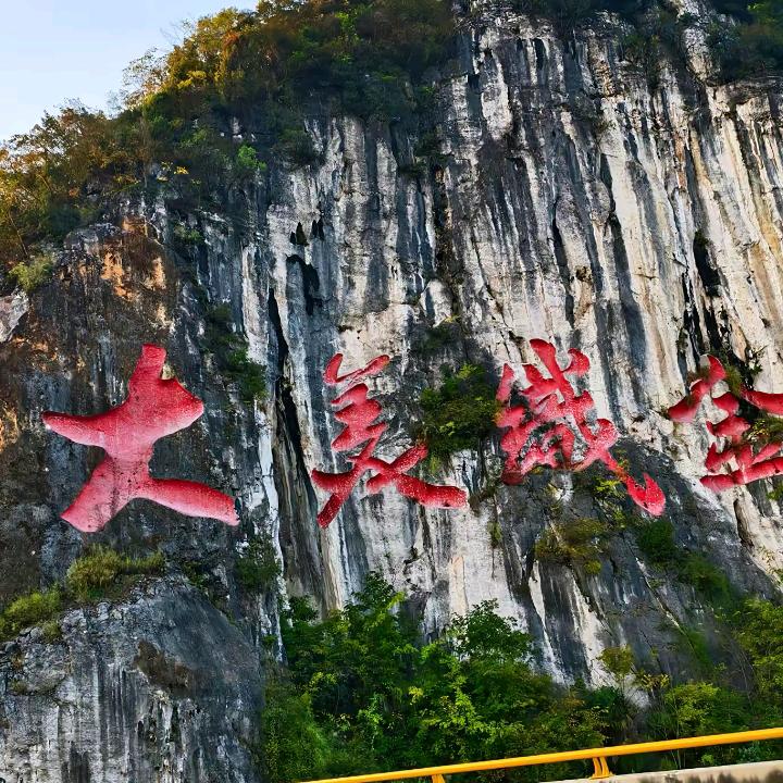 体重有点陈先生