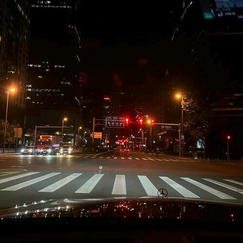 《蛋   蛋》╭( ′• o •′ )╭