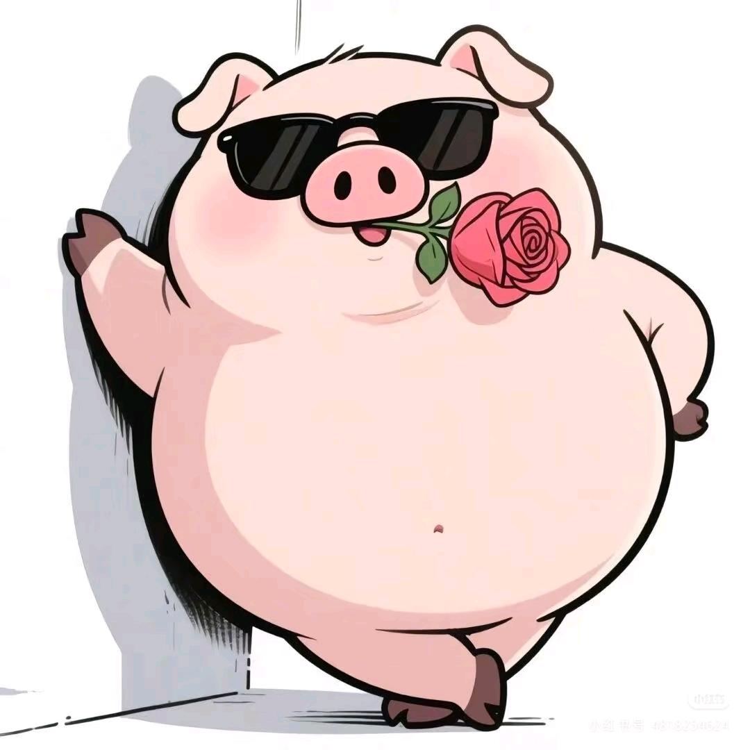 宇宙无敌超级喜欢看美女的小猪猪是也