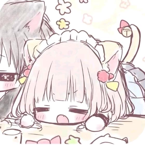 知知树洞