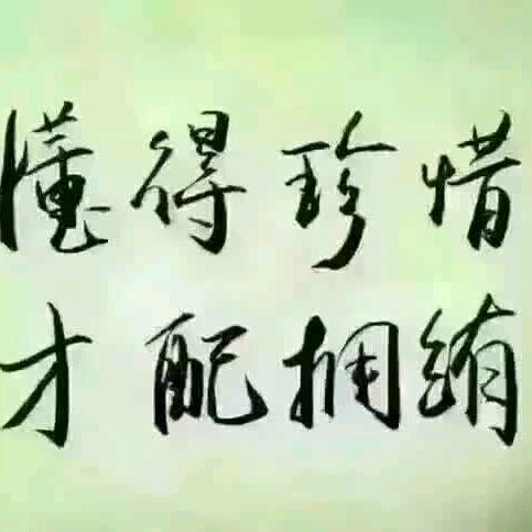 西北狼头像