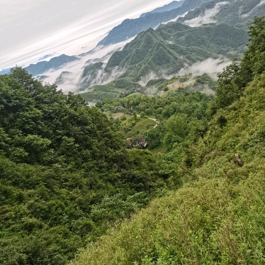 永恒的爱