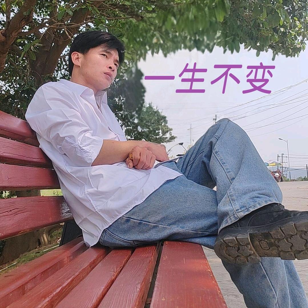 ♛心碎💔的琴声☆