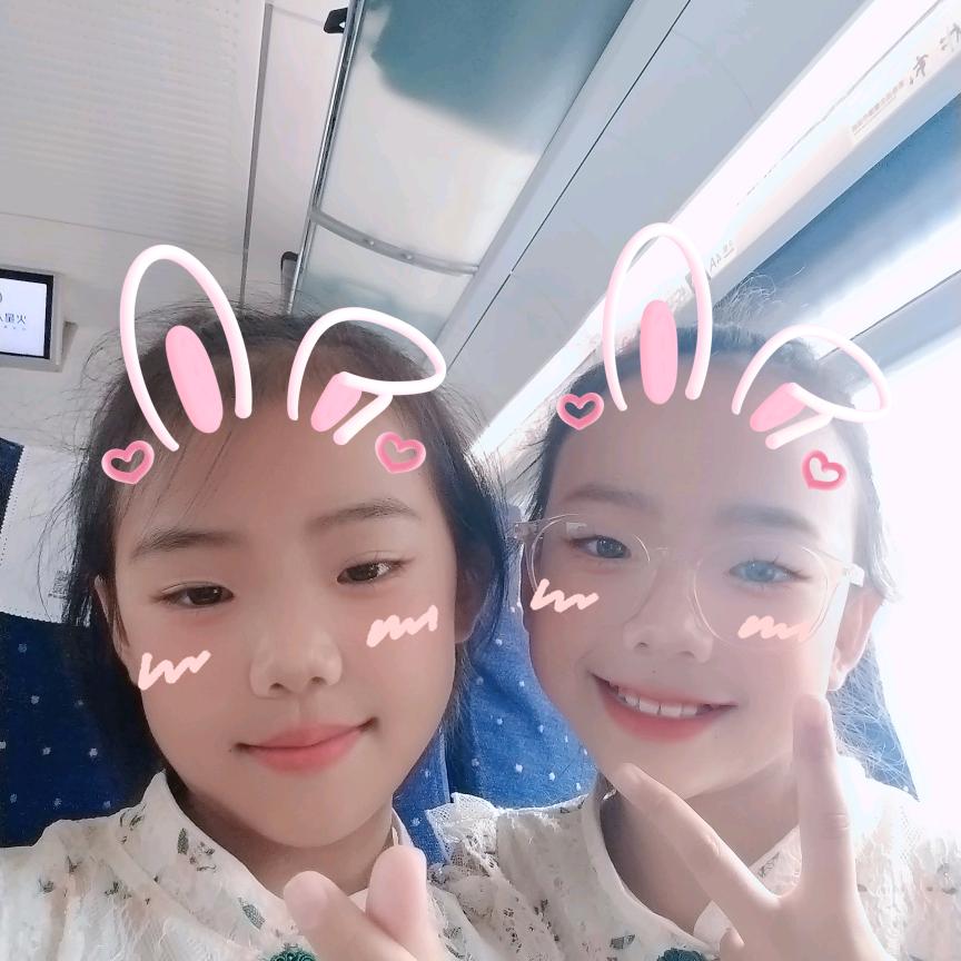 鹭鹭