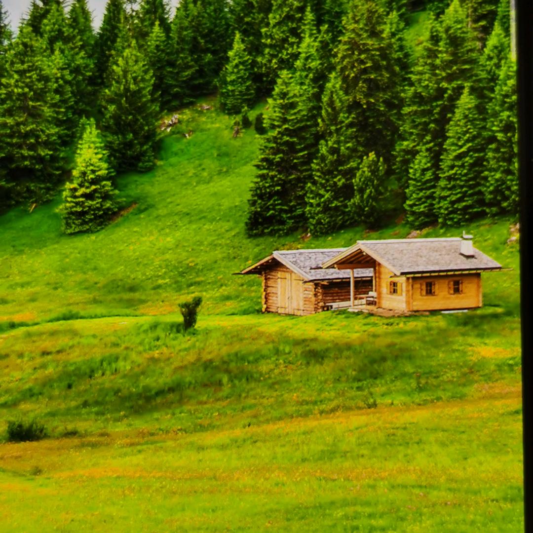 快乐，暴富，鸟语花香窗帘