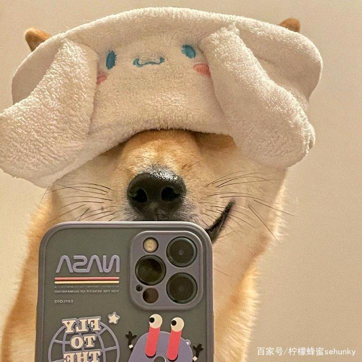晚睡的垚
