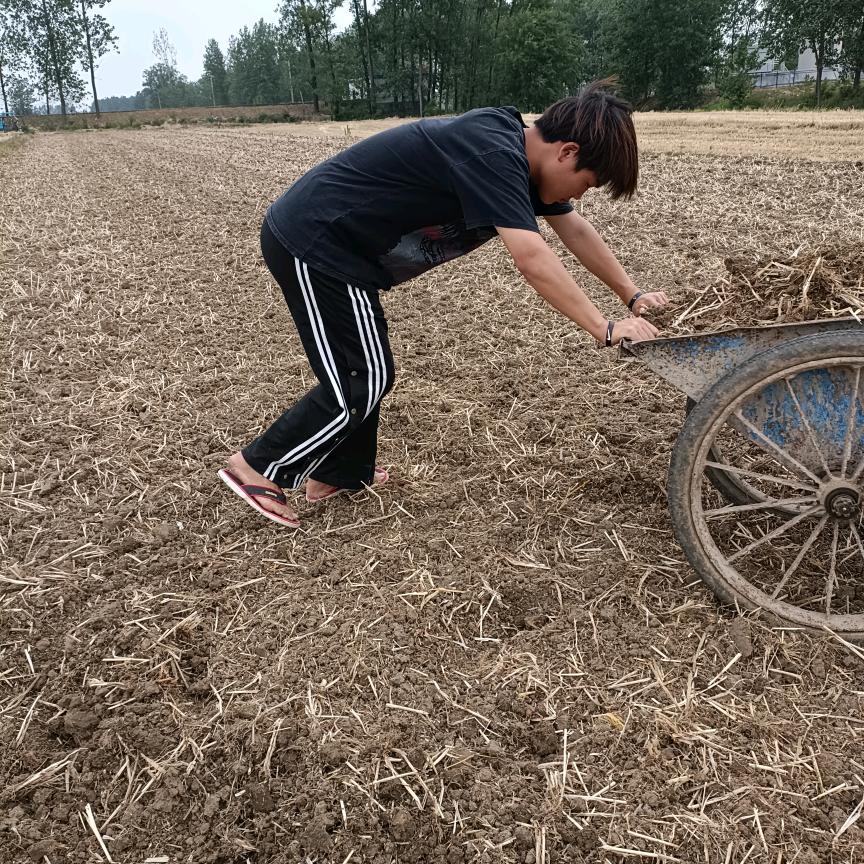 一路顺风（宝哥）