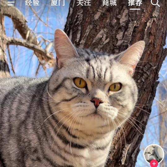 煦谦传媒