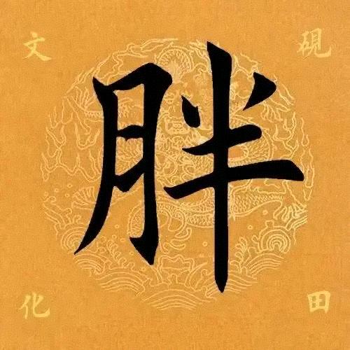 胖胖
