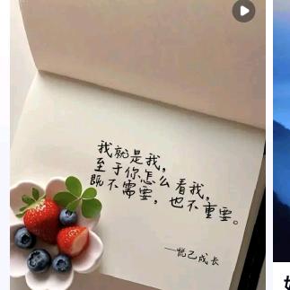 孤单的温柔！