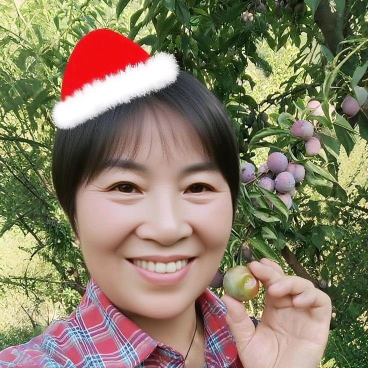 小红帽有李子