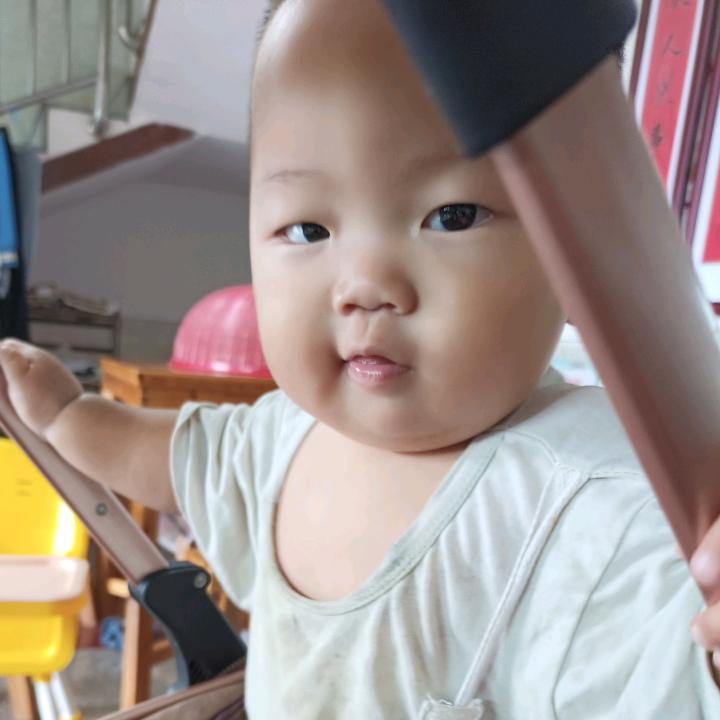 小羊杨
