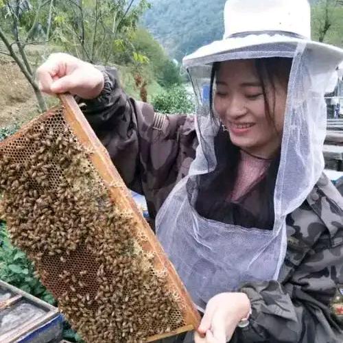 徐师傅蜂王店养蜂梅子